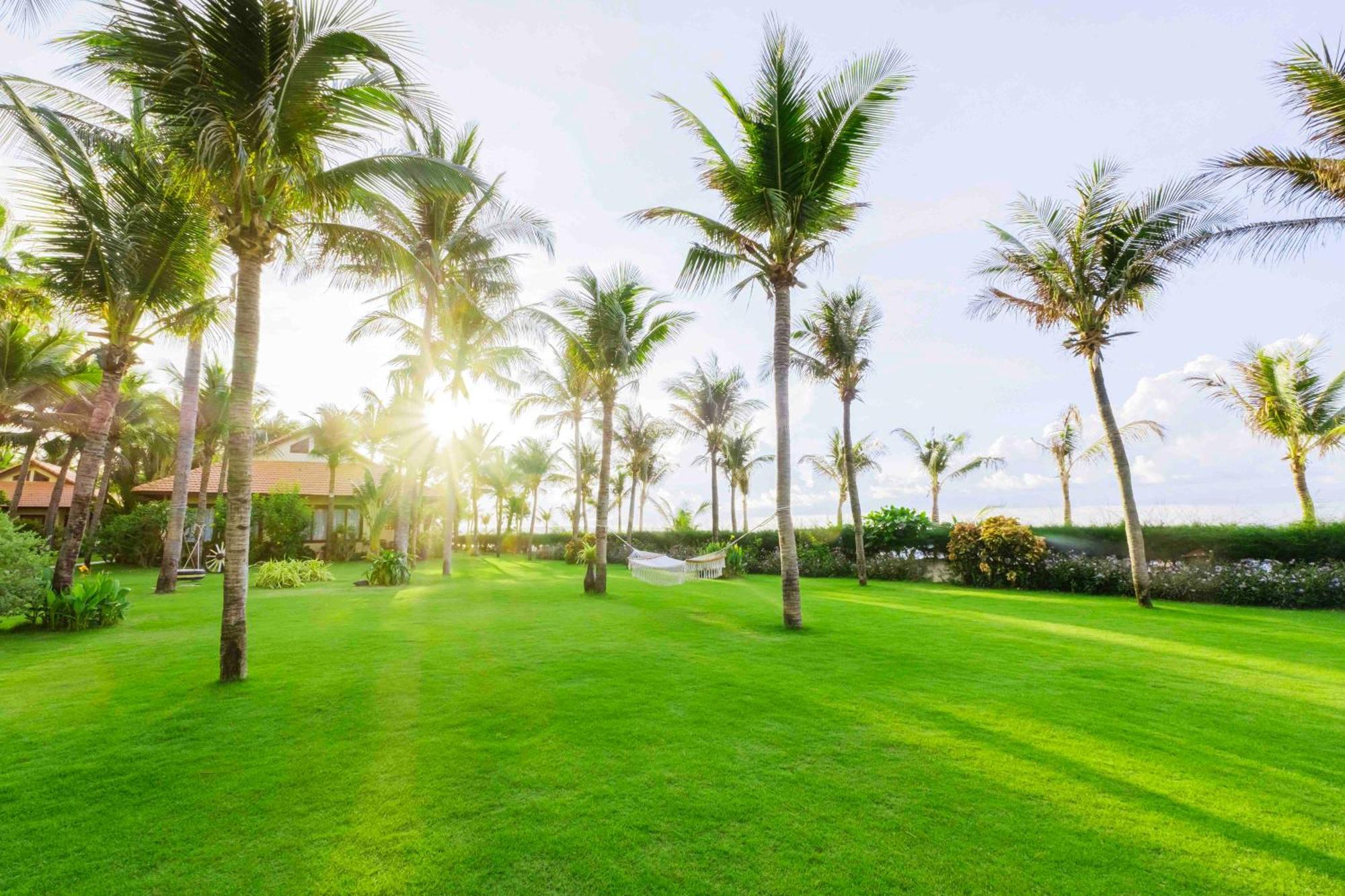 Sunny Beach Resort & Spa Παν Θιέτ Εξωτερικό φωτογραφία
